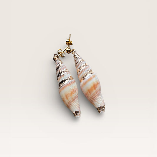 Ambre