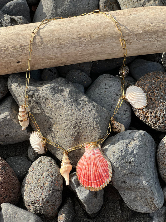 Multi-shell necklace