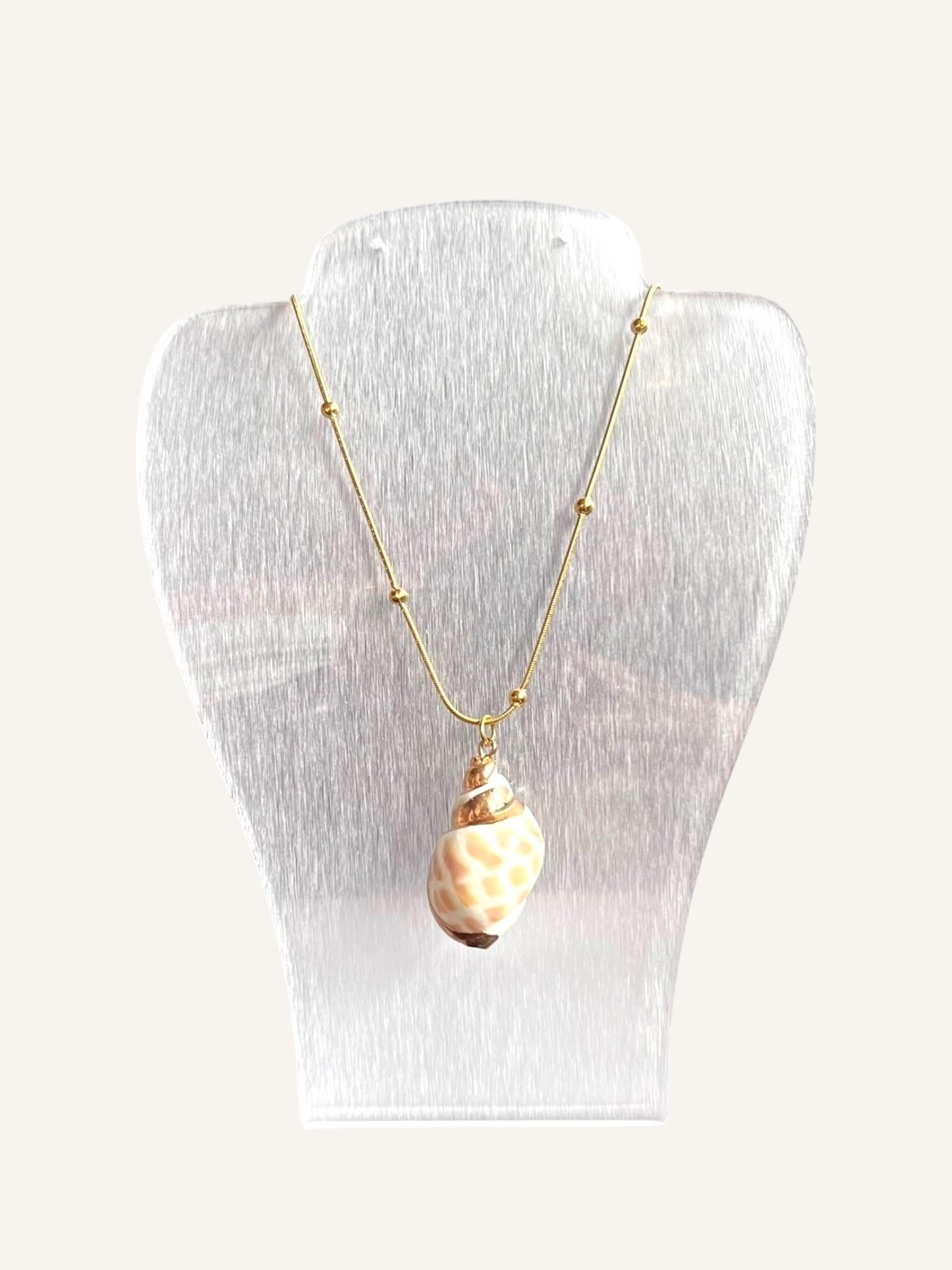 Collier Shellink